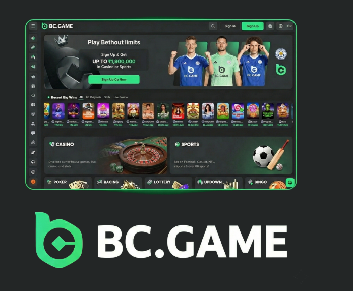 Comprehensive BC.Game Registration Guide for Players Comprehensive BC.Game Registration Guide for Players
